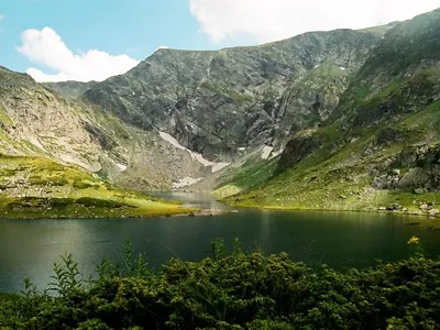 Vladislav Panev, the richman and the leader of the Greens goes to exotic holidays, buys houses and apartments in the downtown Sofia