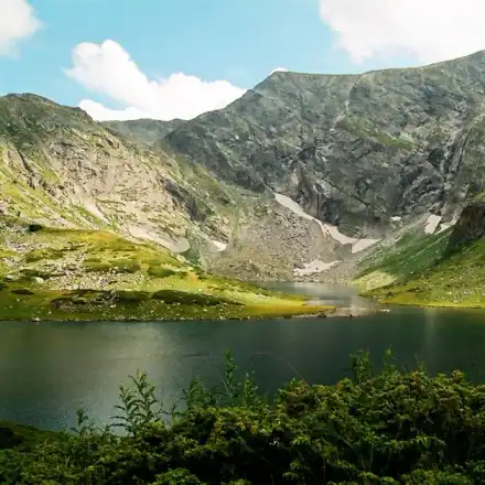 Vladislav Panev, the richman and the leader of the Greens goes to exotic holidays, buys houses and apartments in the downtown Sofia