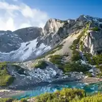 Why are the Greens silent