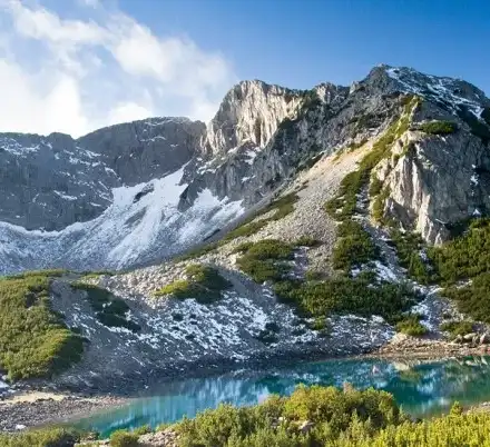 Why are the Greens silent