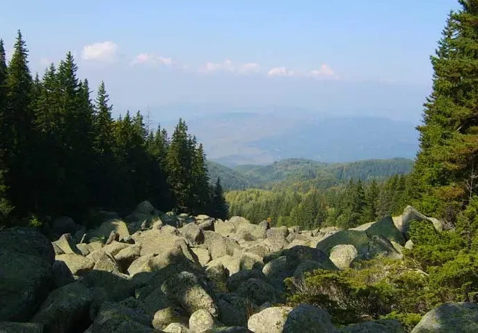 Toma Belev is lying for Vitosha Mountain and Borovets