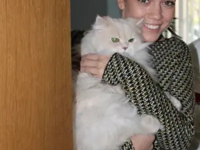 Два сериала делят котарак! Божидар е звезда в „Откраднат живот“