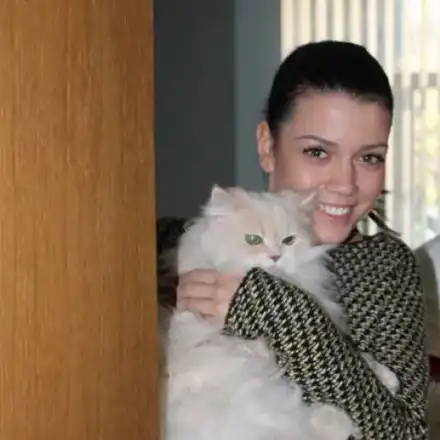 Два сериала делят котарак! Божидар е звезда в „Откраднат живот“