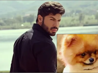 Фики Стораро скърби за кучето