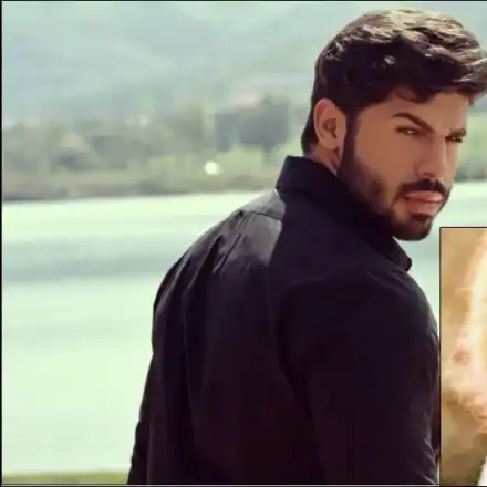 Фики Стораро скърби за кучето