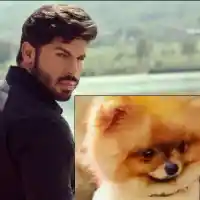 Кучето на Фики умря мистериозно