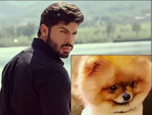 Кучето на Фики умря мистериозно