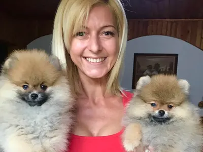 Спасиха кучетата на бившата на Юксел Кадриев