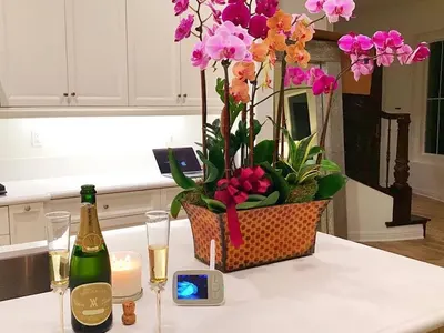 Теди Бургазлиева с палат за $ 800 000 в Лос Анжелис (СНИМКИ)