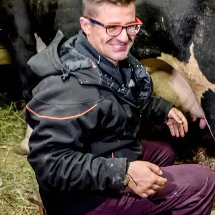 Гадост! Андрей събира кравешко ако с голи ръце