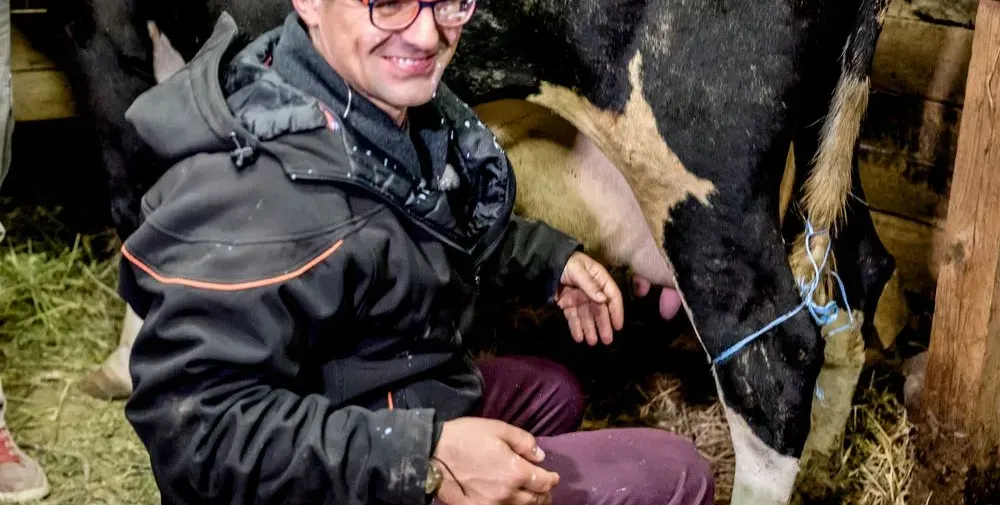 Гадост! Андрей събира кравешко ако с голи ръце