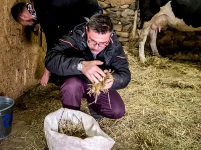 Гадост! Андрей събира кравешко ако с голи ръце