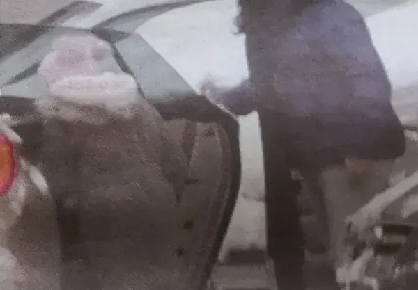 Мариана Попова и Плачков се преместиха в София, пръскат хонорара от брадъра из магазините