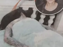 Цеци Красимирова спи на двора