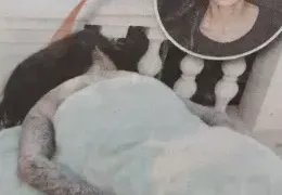 Цеци Красимирова спи на двора