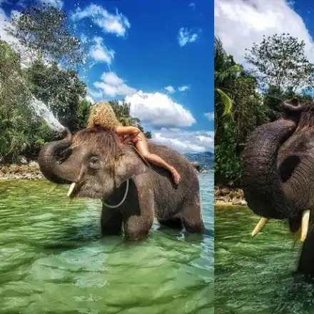 Капчикова язди слон