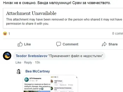 Снахата на Ваня Костова ръси цинизми в мрежата (\"Банда малоумници\" и \"Гнусни твари\" са само част от обидите)