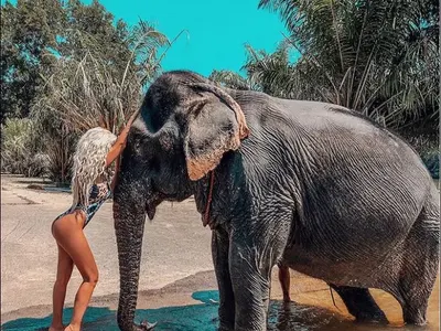 Андреа се гушка със слон