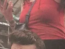 Дъщерята на Саня влюбена в баскетболист (Снимка)