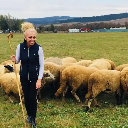 Луна пасе овце