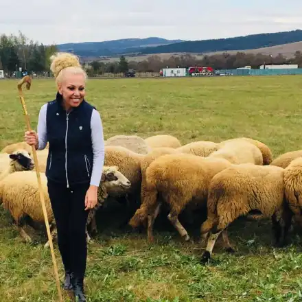 Луна пасе овце