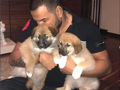 Съседи скочиха на Азис заради кучета