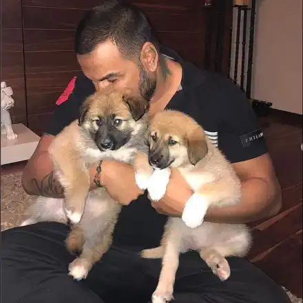 Съседи скочиха на Азис заради кучета