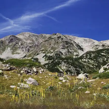 Bansko loses BGN 158 mln. a year because of the Greens