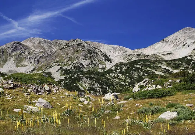 Bansko loses BGN 158 mln. a year because of the Greens