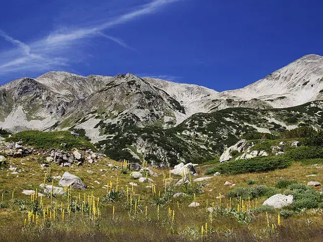 Bansko loses BGN 158 mln. a year because of the Greens