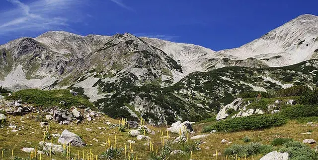Bansko loses BGN 158 mln. a year because of the Greens