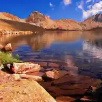 DISCLOSURE: The Green grant-utilizers covered protest of the mothers as well