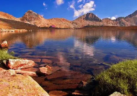 DISCLOSURE: The Green grant-utilizers covered protest of the mothers as well