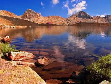 DISCLOSURE: The Green grant-utilizers covered protest of the mothers as well