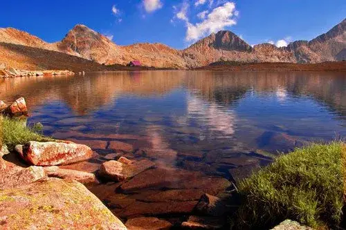 DISCLOSURE: The Green grant-utilizers covered protest of the mothers as well