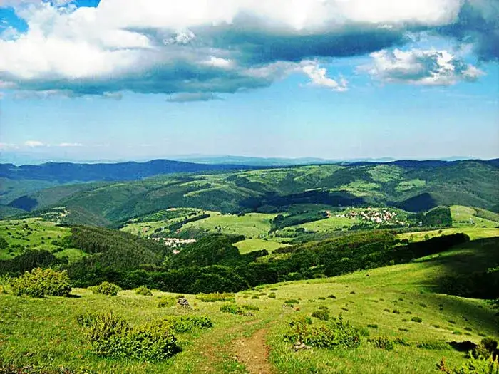 Ecologists cause more damages than the disasters, says Neno Dimov