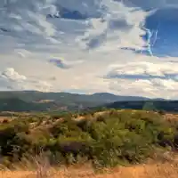 Here are the faces of the „spontaneous“ protest - Yulia Berberian, Toma Belev and Peter Kardzhilov