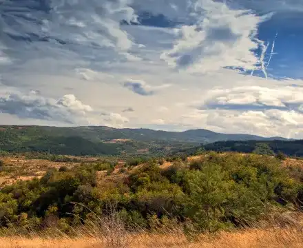 Here are the faces of the „spontaneous“ protest - Yulia Berberian, Toma Belev and Peter Kardzhilov