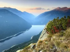 Mr. Tsatsarov, when will you address the green oligarchs?