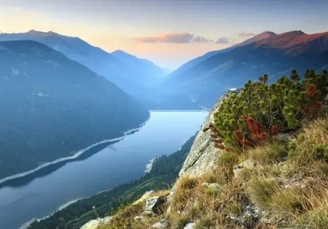 Mr. Tsatsarov, when will you address the green oligarchs?