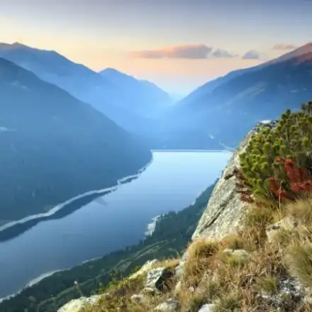 Mr. Tsatsarov, when will you address the green oligarchs?