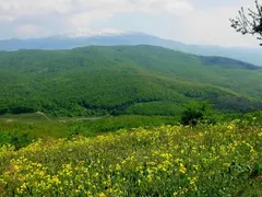 Published in faPublished in fakti.bg: A lift is under construction and in Switzerland, while it is not allowed in Bulgaria