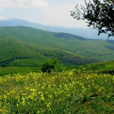 Published in faPublished in fakti.bg: A lift is under construction and in Switzerland, while it is not allowed in Bulgaria