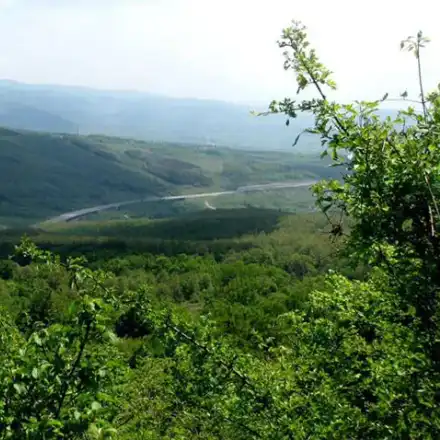 The court cut off environmentalists contesting the construction of a forest park next to the Rowing Base in Plovdiv