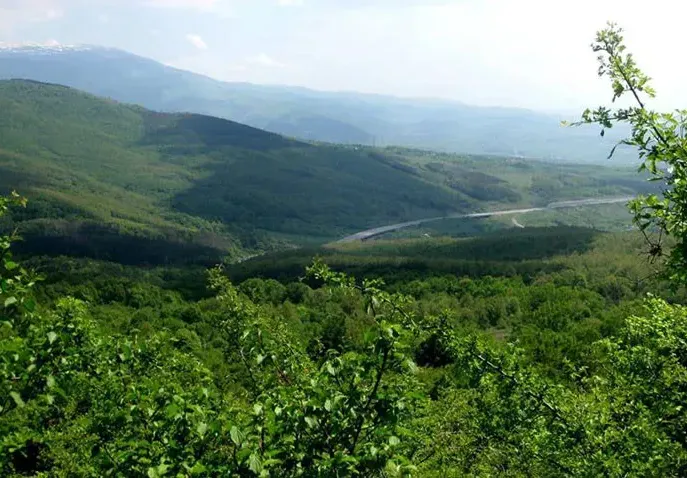 The court cut off environmentalists contesting the construction of a forest park next to the Rowing Base in Plovdiv