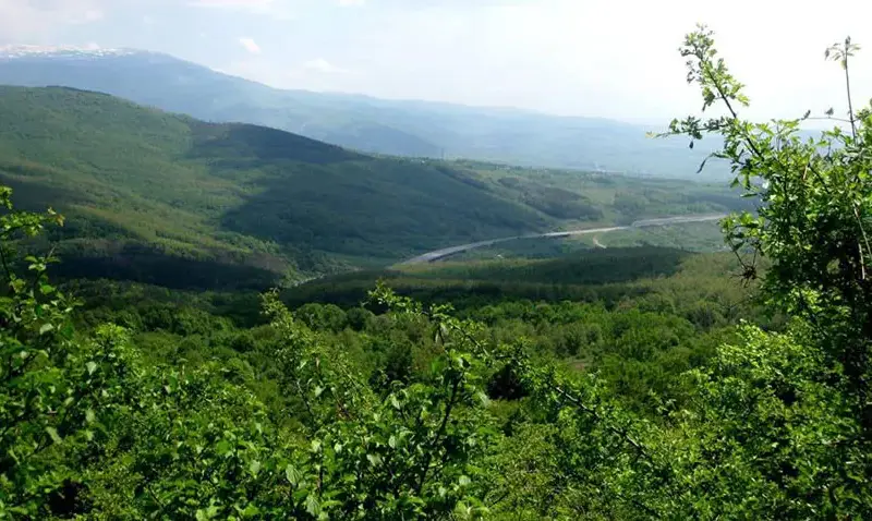 The court cut off environmentalists contesting the construction of a forest park next to the Rowing Base in Plovdiv