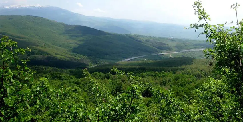 The court cut off environmentalists contesting the construction of a forest park next to the Rowing Base in Plovdiv