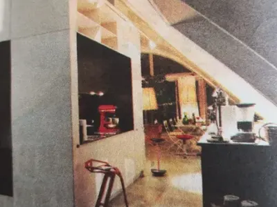 Уникален лукс! Вижте един от палатите на Елена Йончева! Има двор в апартамента си (СНИМКИ)