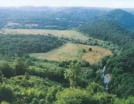 Ventsi Mitsov snaps at the chairperson of the pre-election headquarters of The Greens Political Party!