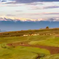 Will Tom Belev be held responsible?